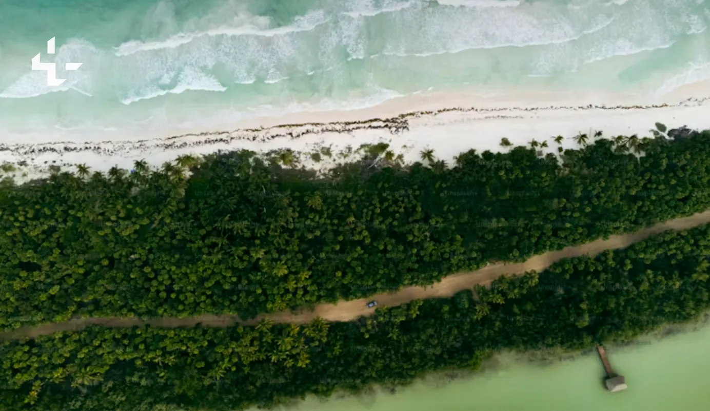 Vista aérea de la costa de Chelem con la playa y la vegetación