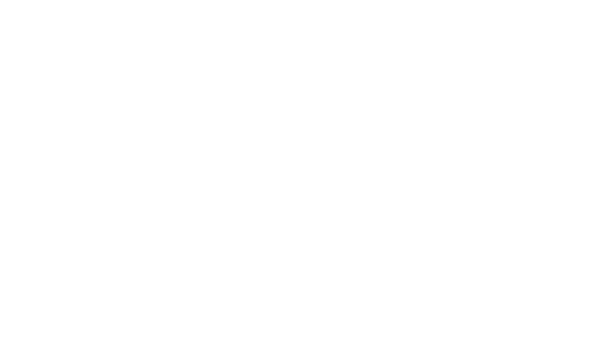 Noyol
