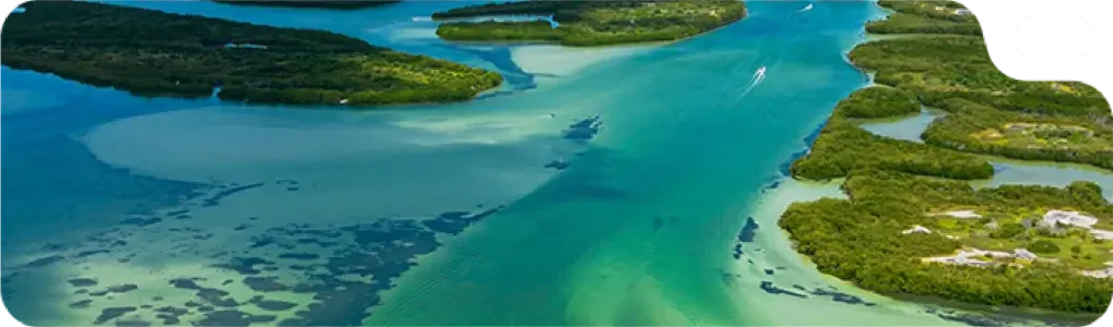Vista aérea de canales de agua turquesa entre manglares