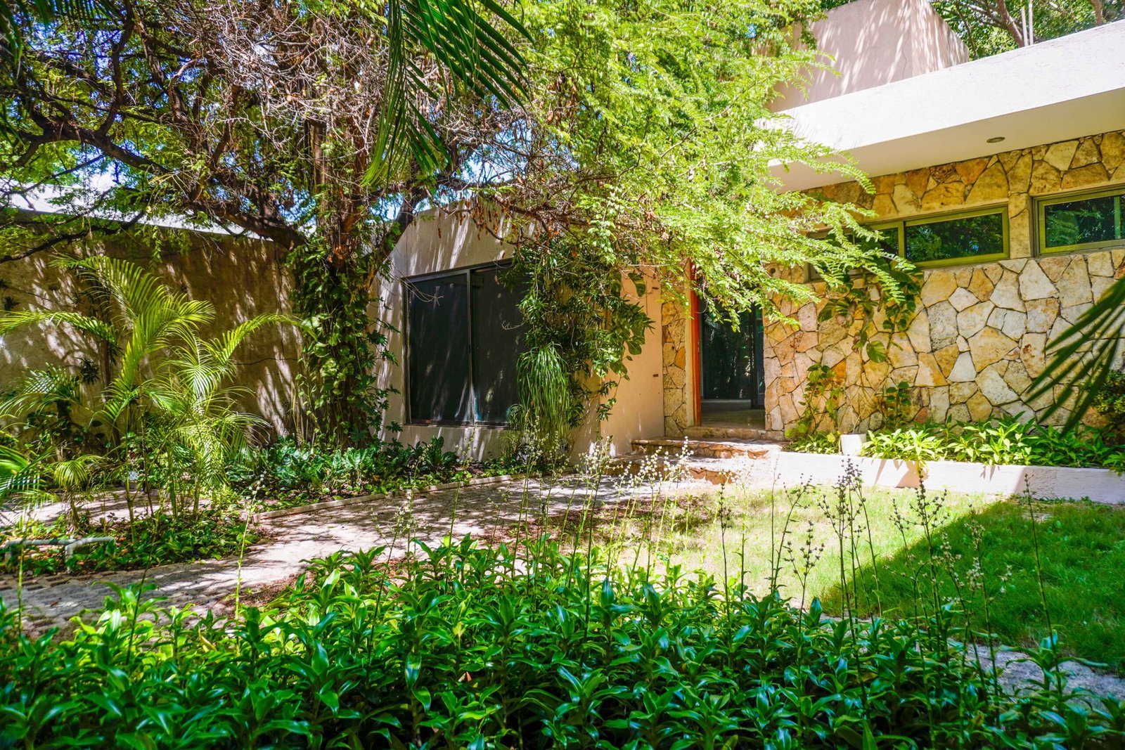 Jardín con vegetación tropical frente a la propiedad
