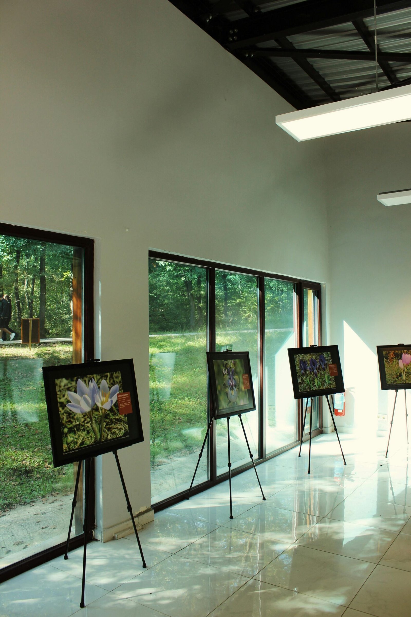 Concepto de galería o showroom
