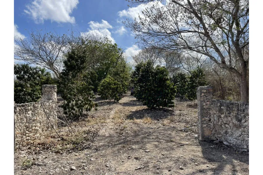Terreno Ideal para proyecto o casa de campo en Mocochá, Yuc., Mocochá, Yucatán