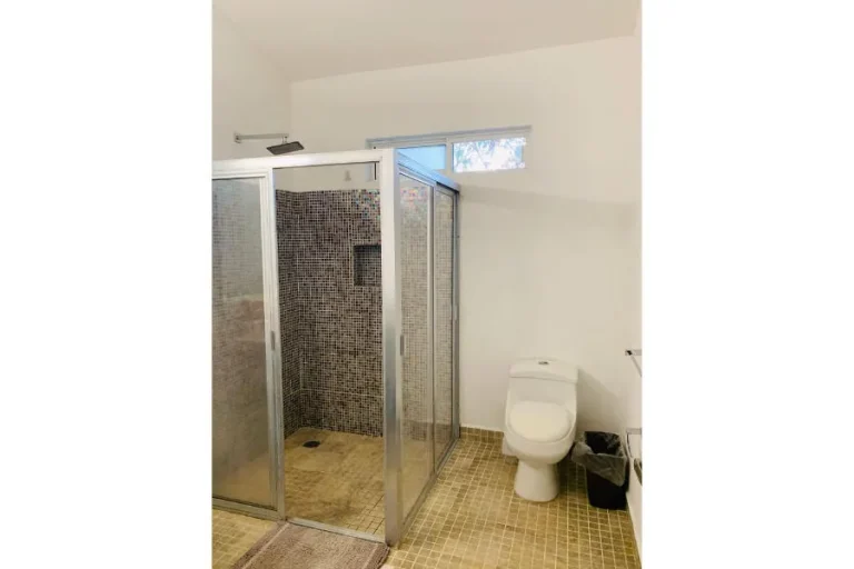 Baño con ducha de cancel de cristal, mosaicos oscuros en la pared, piso de mosaicos beige e inodoro blanco.