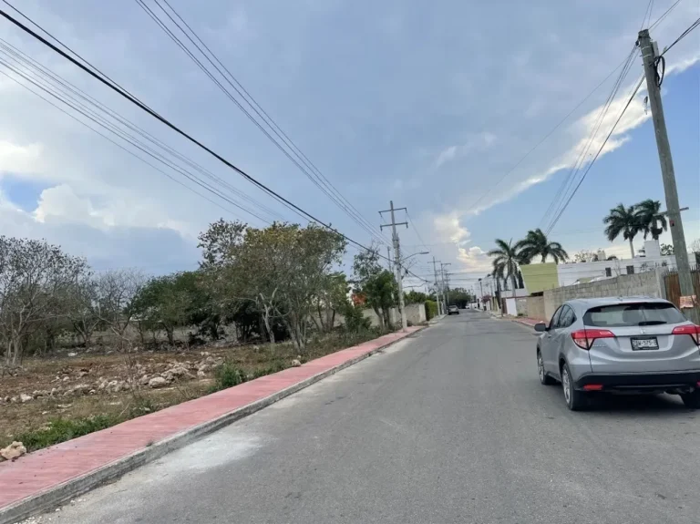 Calle pavimentada con banqueta rosa, terreno con vegetación, viviendas, postes y un automóvil gris.