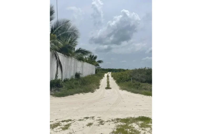 Camino de arena con vegetación central, junto a un muro blanco y palmeras, bajo un cielo nublado.