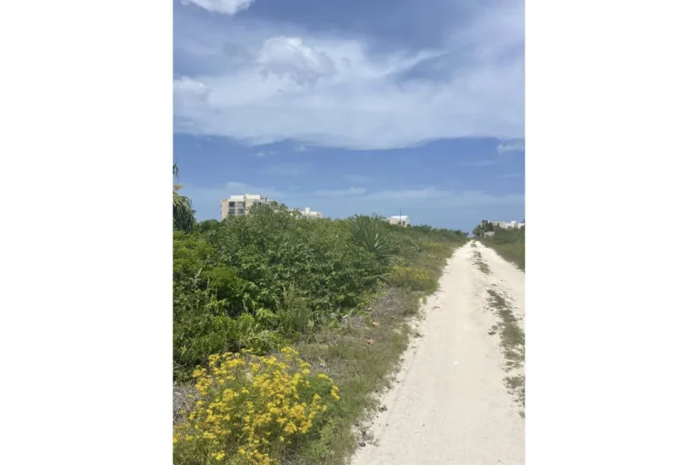 Camino de arena junto a vegetación baja y flores amarillas, con edificios al fondo bajo un cielo parcialmente nublado.