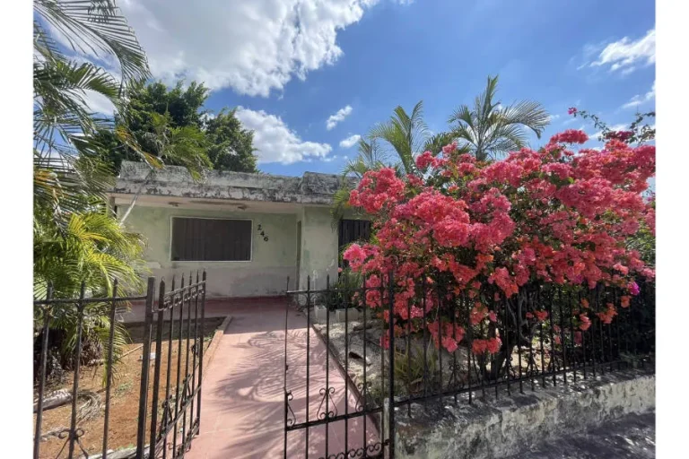 Casa de una planta con fachada clara, reja negra, sendero de acceso y una bugambilia de flores rosas junto a palmeras.