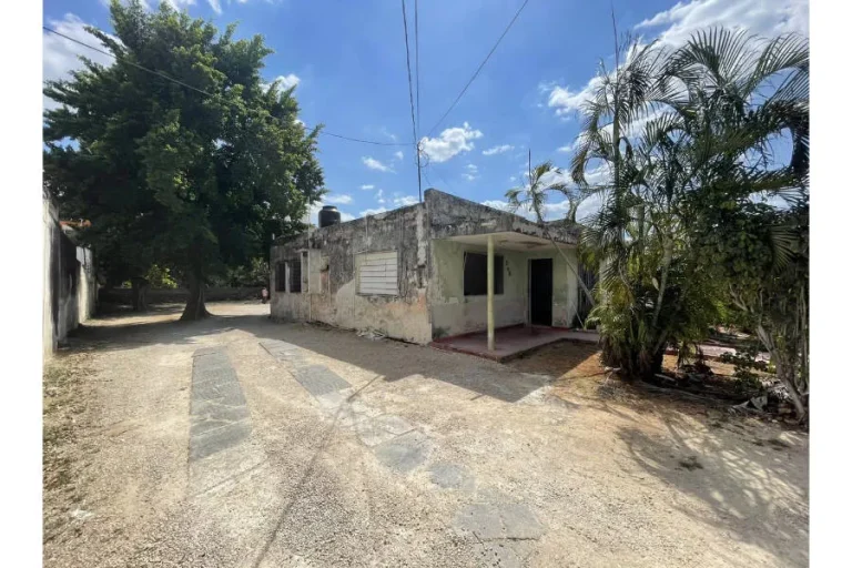 Casa de una planta con fachada desgastada, porche con columnas y patio amplio rodeado de árboles y palmeras.