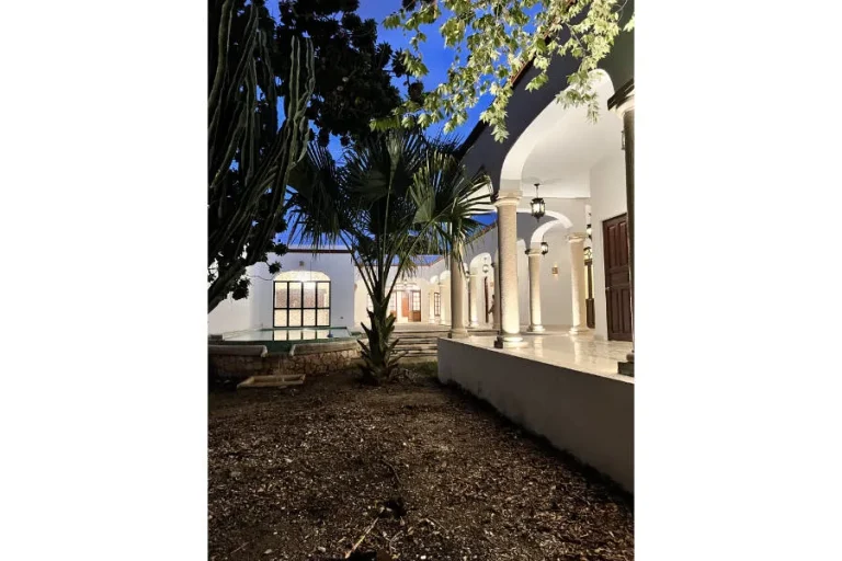 Patio con árboles y palmeras junto a un corredor blanco de arcos y columnas iluminadas al anochecer.