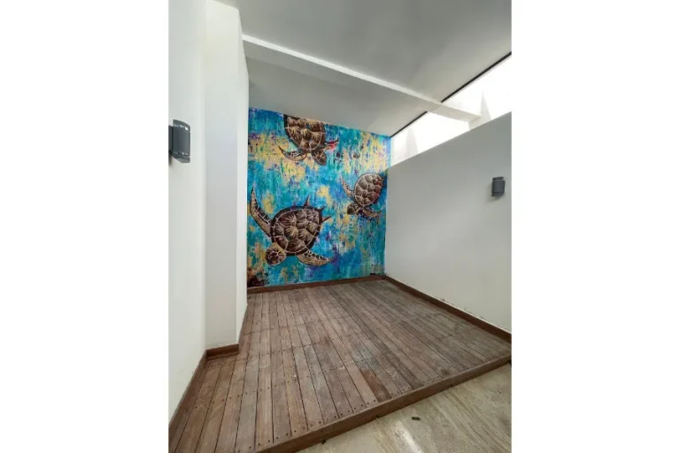 Patio de muros blancos con mural de tres tortugas marinas, piso de apariencia de madera y aberturas superiores.