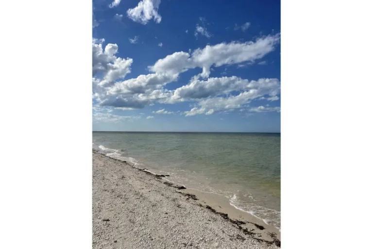 Orilla de arena clara con restos de algas, oleaje suave y mar verdoso bajo un cielo azul con nubes.