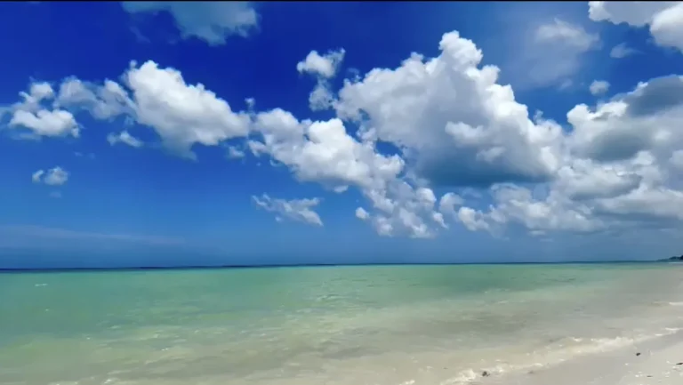 Orilla de arena clara con oleaje suave, mar de tonos verdes y cielo azul con grandes nubes blancas.