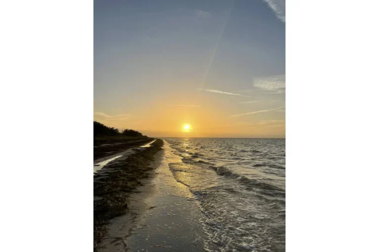 Sol cerca del horizonte sobre el mar, con cielo dorado, oleaje suave y una franja de algas en la orilla.