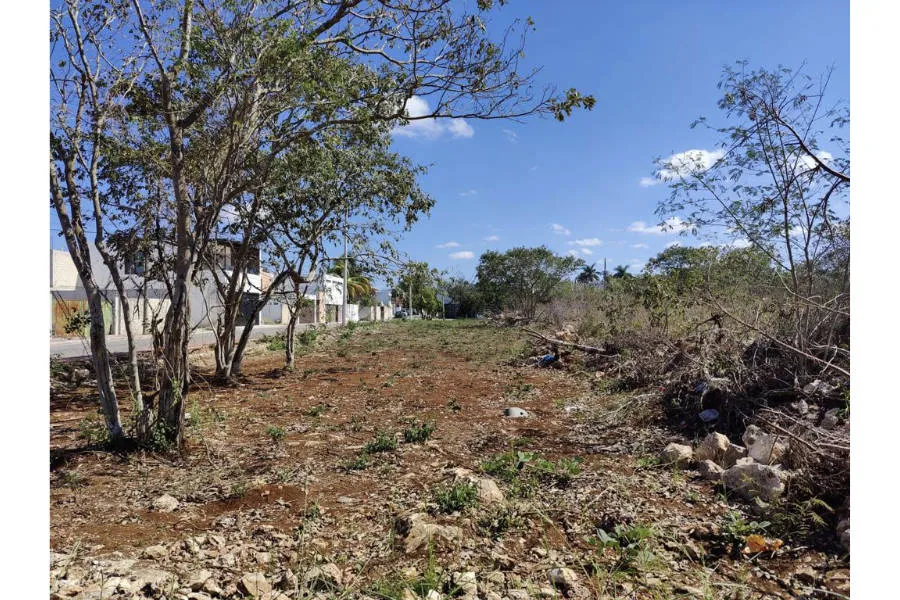 Propiedad en Zona Residencial Dentro de la Ciudad, Leandro Valle, Mérida