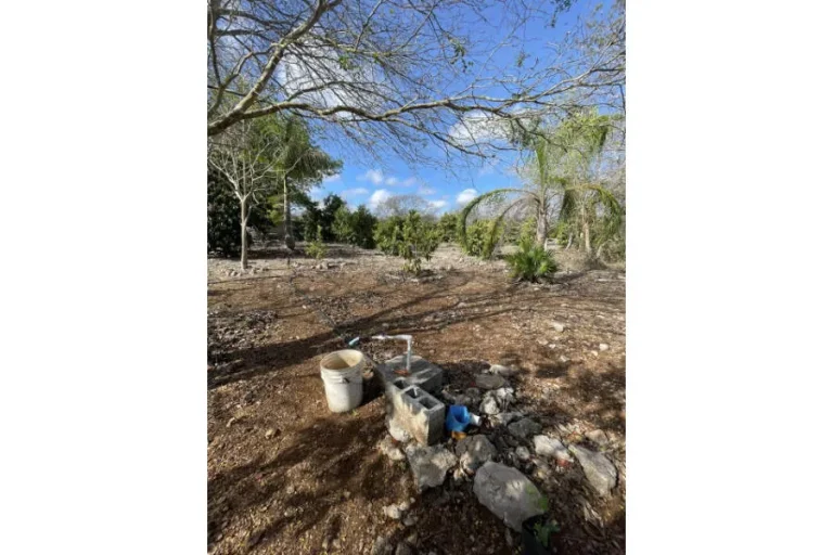 Terreno con árboles, suelo pedregoso y una toma de agua entre bloques de concreto junto a una cubeta.