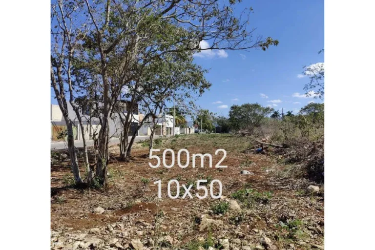Terreno con suelo pedregoso, árboles y construcciones al costado; texto superpuesto con las cifras 500m2 y 10x50.