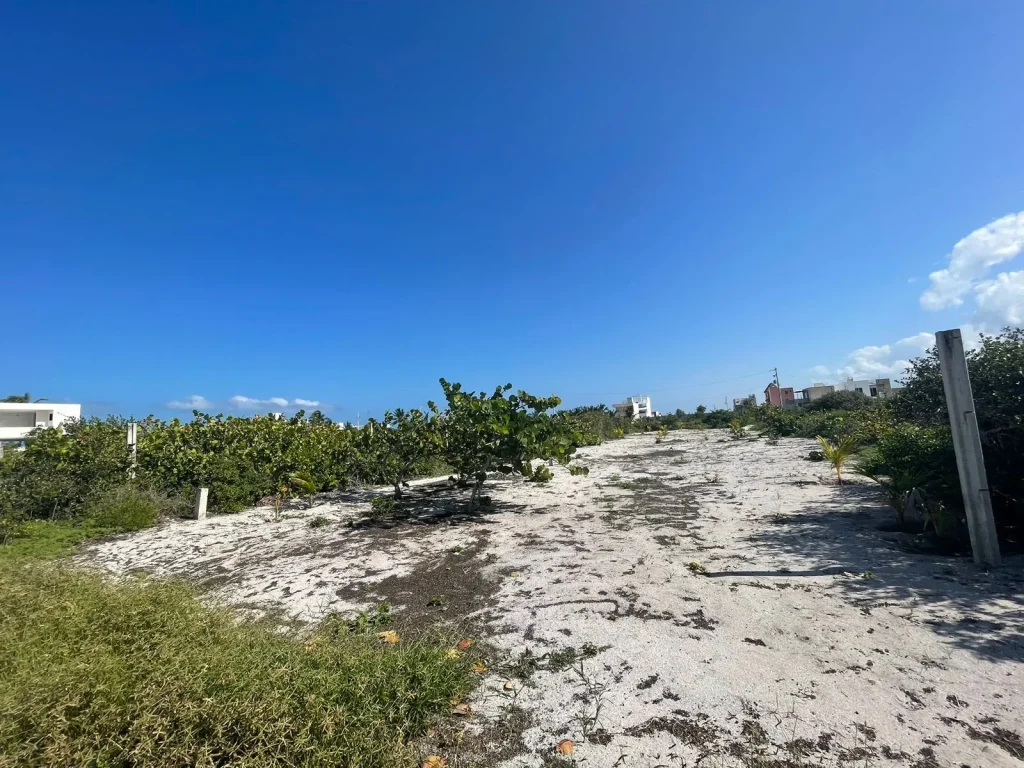 Terreno en la Riviera Yucateca San Benito, San Benito, Yucatán