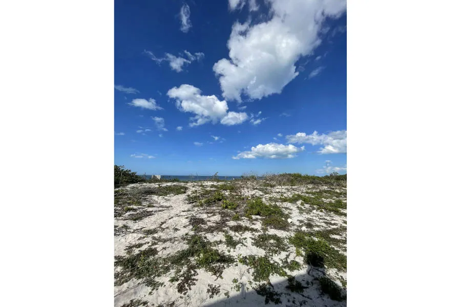 Terreno a la orilla del mar de Telchac Puerto, Yucatán, Telchac Puerto, Yucatán