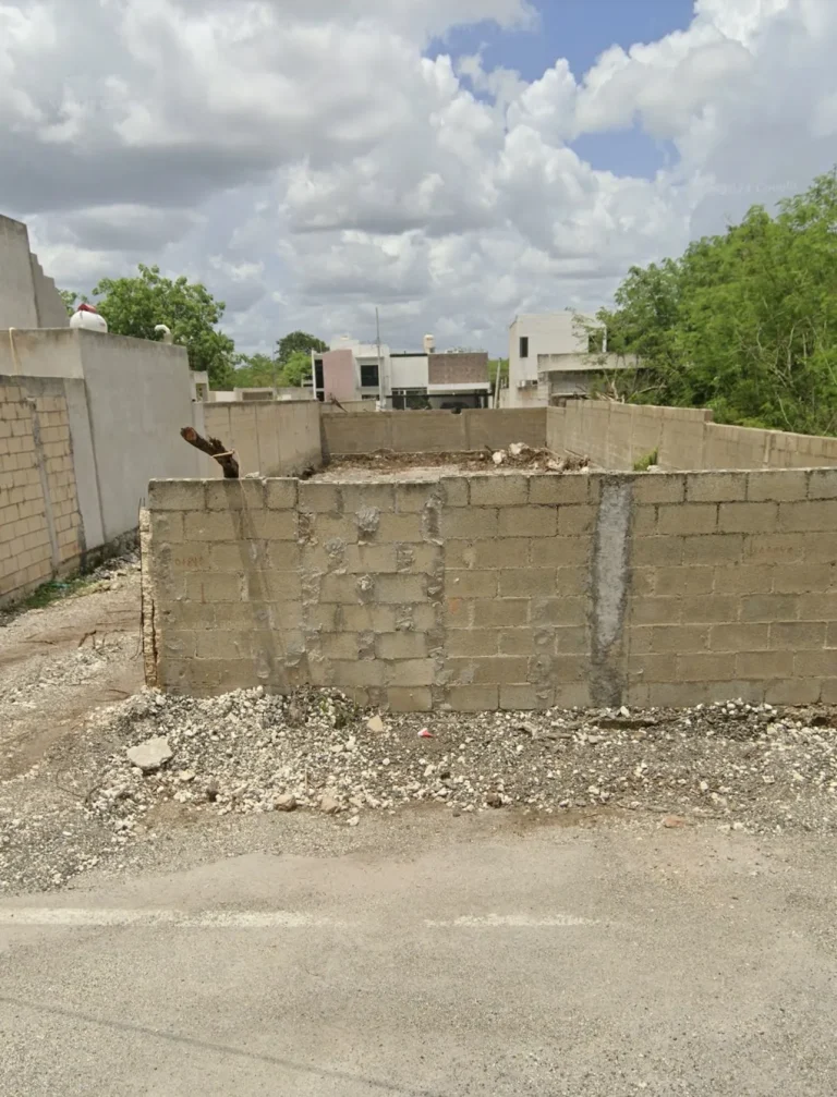 Terreno con muros de bloques sin techo, escombros junto a la calle y viviendas al fondo.