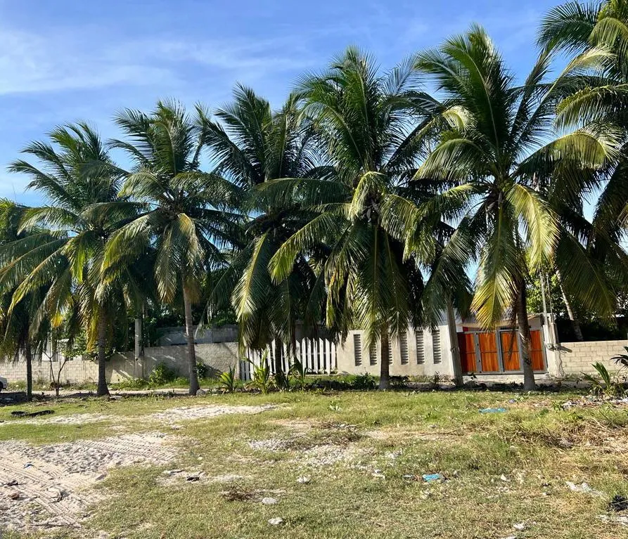 Terreno con cocales en el centro de Chelem, Yucatán, Chelem, Yucatán