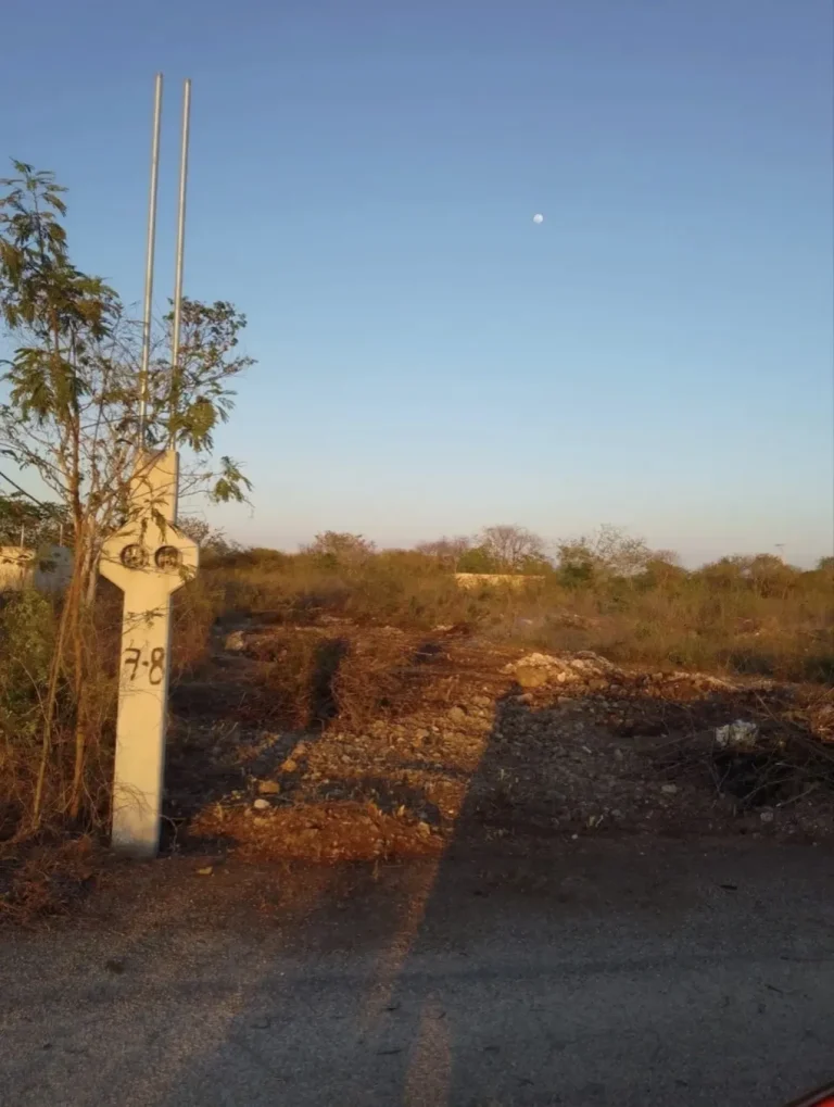 Terreno con piedras y matorrales junto a un poste de concreto con varillas expuestas.