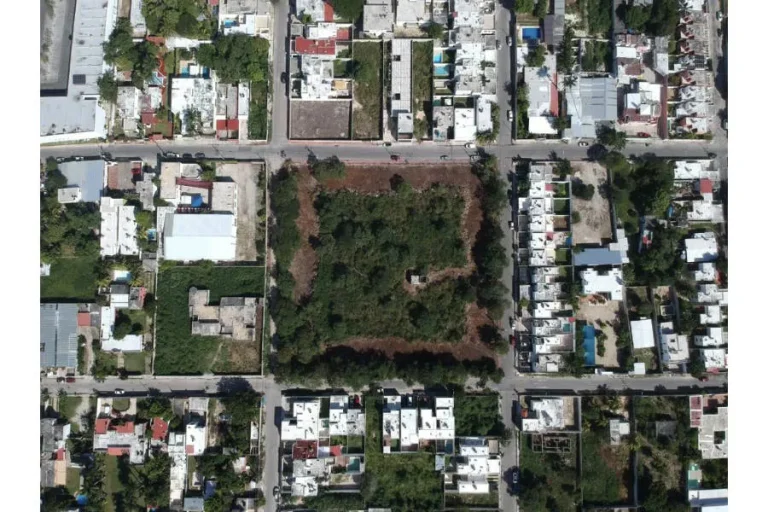 Vista aérea de un terreno con vegetación, rodeado por calles y viviendas.