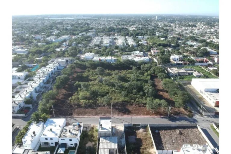 Vista aérea de un terreno con abundante vegetación, rodeado de calles, viviendas y otras construcciones.