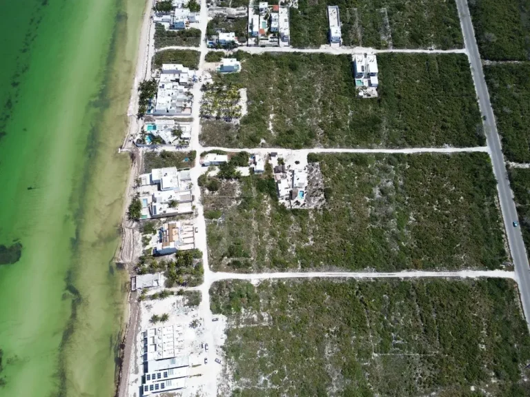 Vista aérea de una franja costera con playa, agua verde, viviendas y terrenos con vegetación entre caminos.